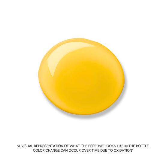 Amber and Musk unisex perfume oil by Ibn Al Jebouri, available in 1ml, 3ml, and 6ml sizes, alcohol-free.