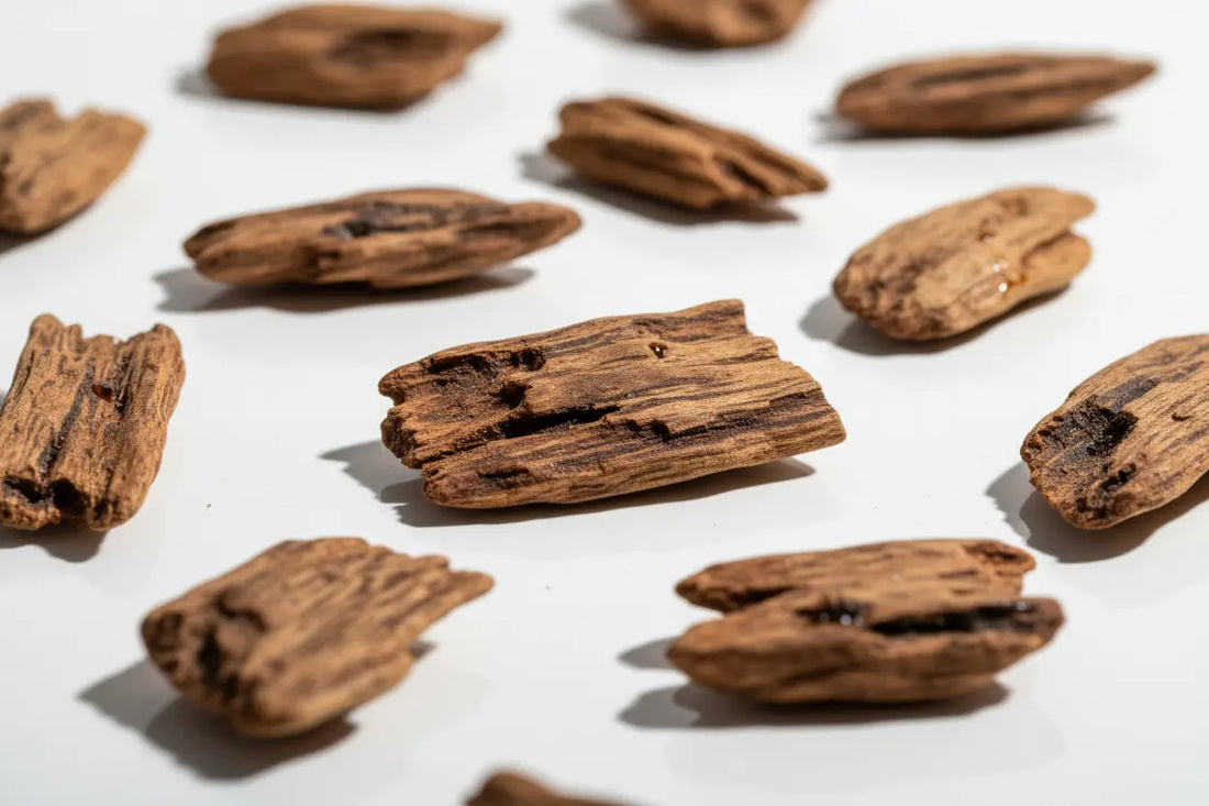 What is Oud Made Of? - Ibn Al Jebouri Perfumes