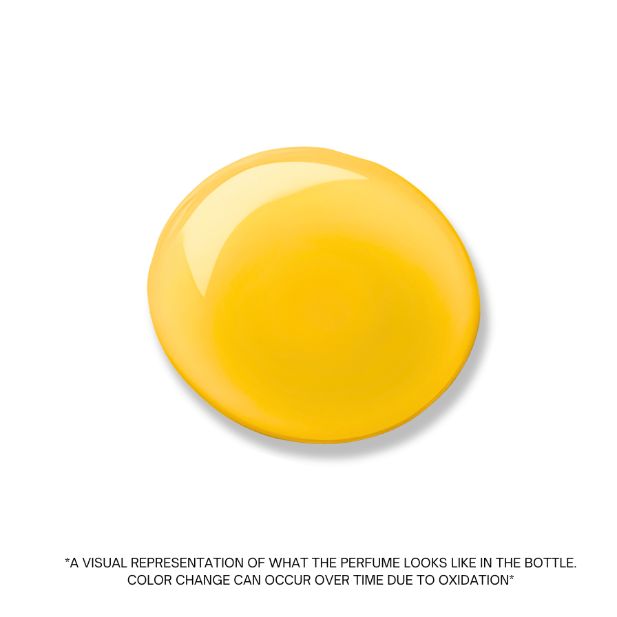 Amber and Musk unisex perfume oil by Ibn Al Jebouri, available in 1ml, 3ml, and 6ml sizes, alcohol-free.