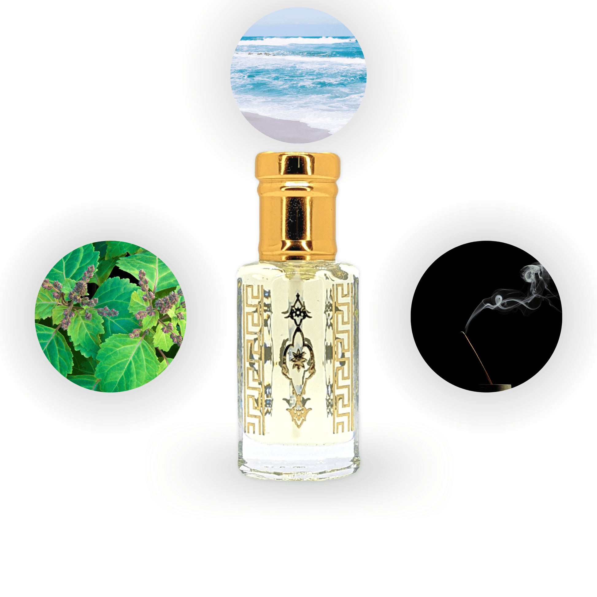 Acqua di top gio oud